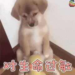 是过敏性偏头痛还是鼻窦炎?过敏性偏头痛:这会导致你的头痛吗?