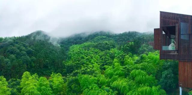 眺云海秘境、西子春晓，每一家都是旅行艺术，带你躺入春天~