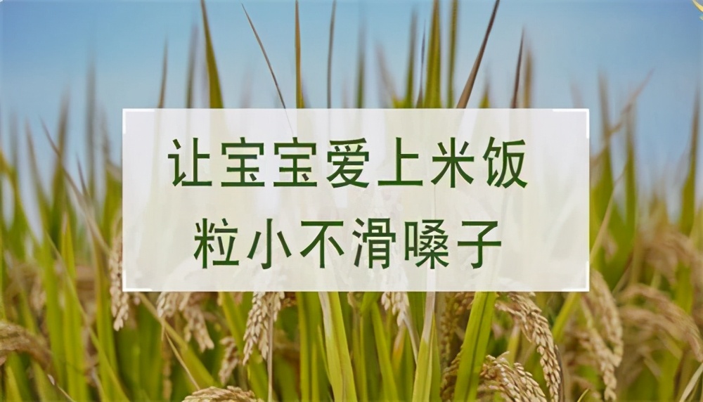 鍋ュ悍瀹濆疂鏄搴殑甯屾湜,鍋ュ悍缇庡懗澶х背鎴愪簡鏇村浜虹殑閫夋嫨