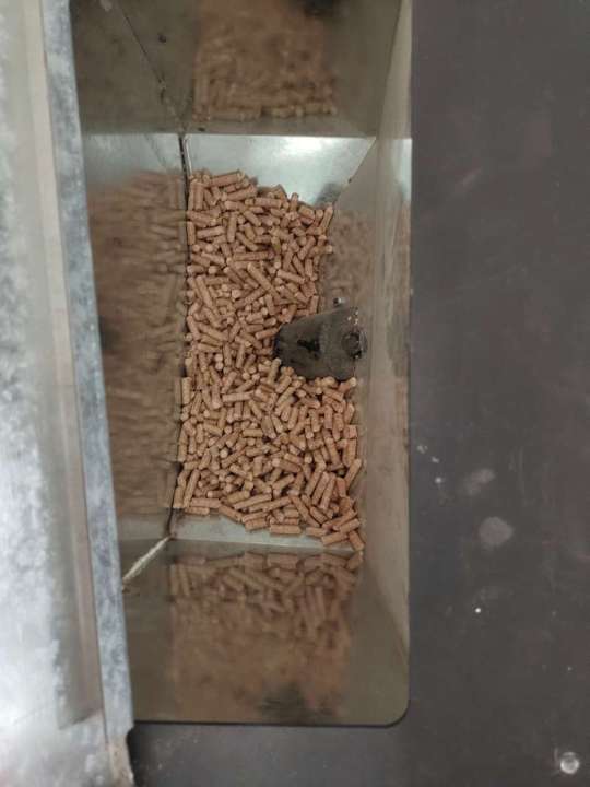 受冬季供暖影响煤炭价格,进入取暖季煤炭价格