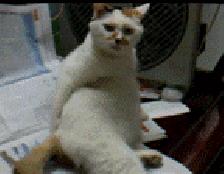 *裤内**上的细菌居然有超过100亿？比你的袜子脏多了？