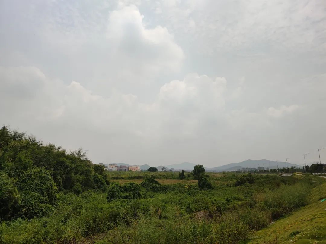 钟落潭保利珑玥天坑,神秘水潭天坑