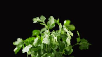 缇庨澶嶅伐澶嶄骇,澶嶅伐鍚庡伐浣滈鎬庝箞瀹夋帓