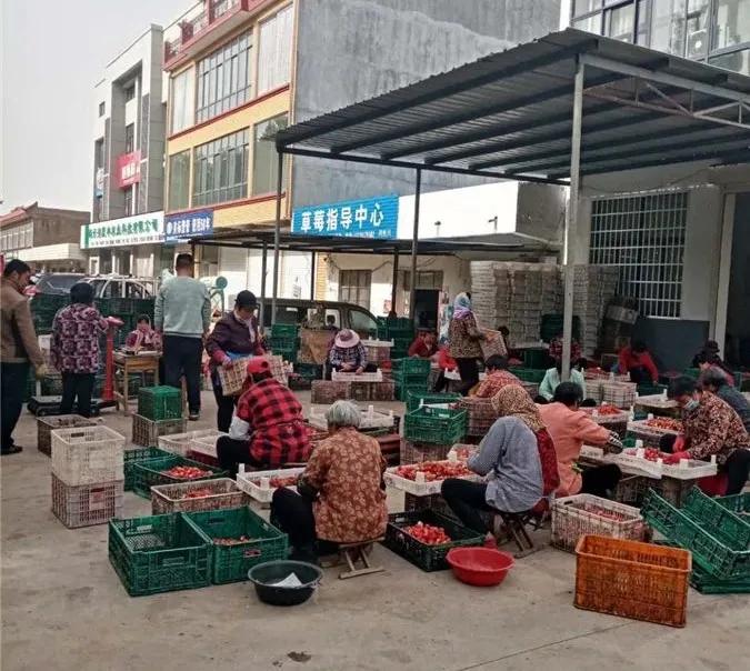 连云港父子,江苏省连云港父子俩