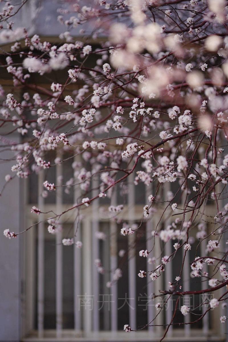 天津推荐网红打卡地滨江道,就在这里天津惊现全新网红打卡地