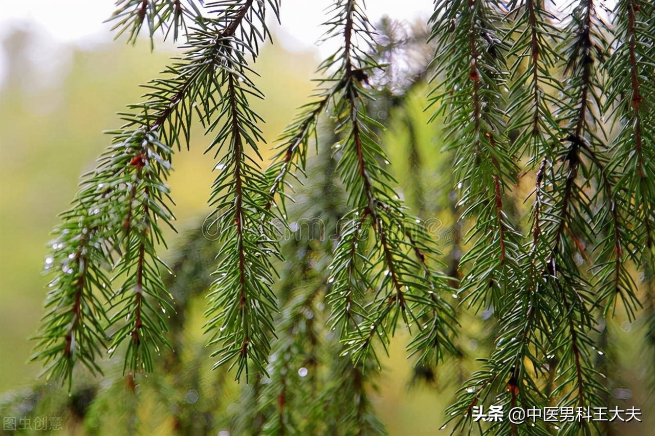 下肢冷脾胃虚寒吃什么,脾胃虚弱小腿以下怕冷