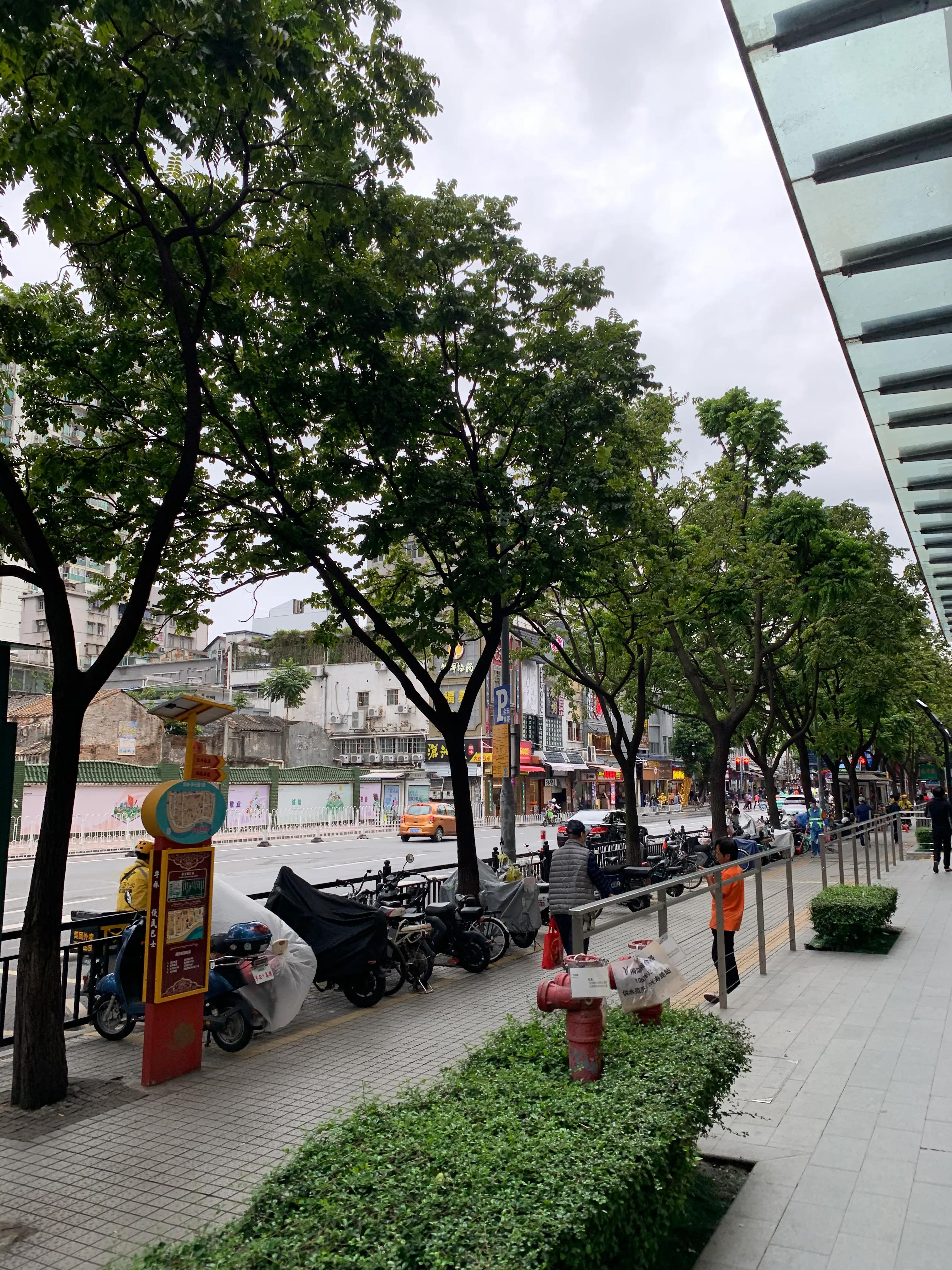 安阳西关疫情最新通报,疫情后的鼓楼