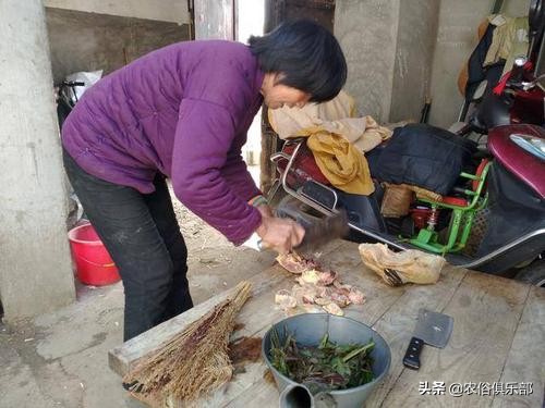 端午节不能回娘家的历史原由,端午节最重要的就是回娘家