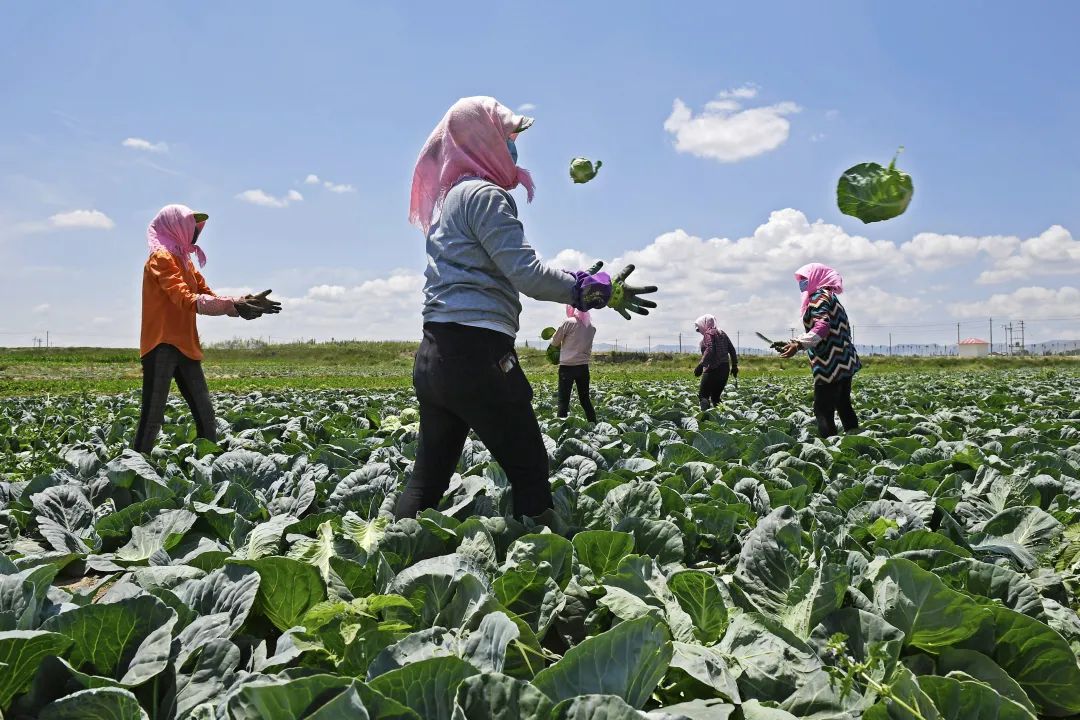 新时代脱贫攻坚取得的伟大成就,脱贫攻坚伟大成就