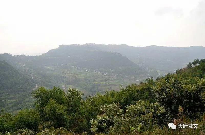 麻江县铜鼓寨,铜鼓寨简介