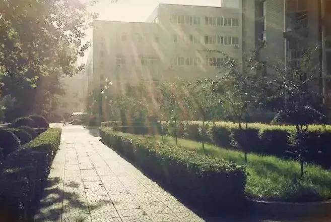 石家庄六中,怀念石家庄六中