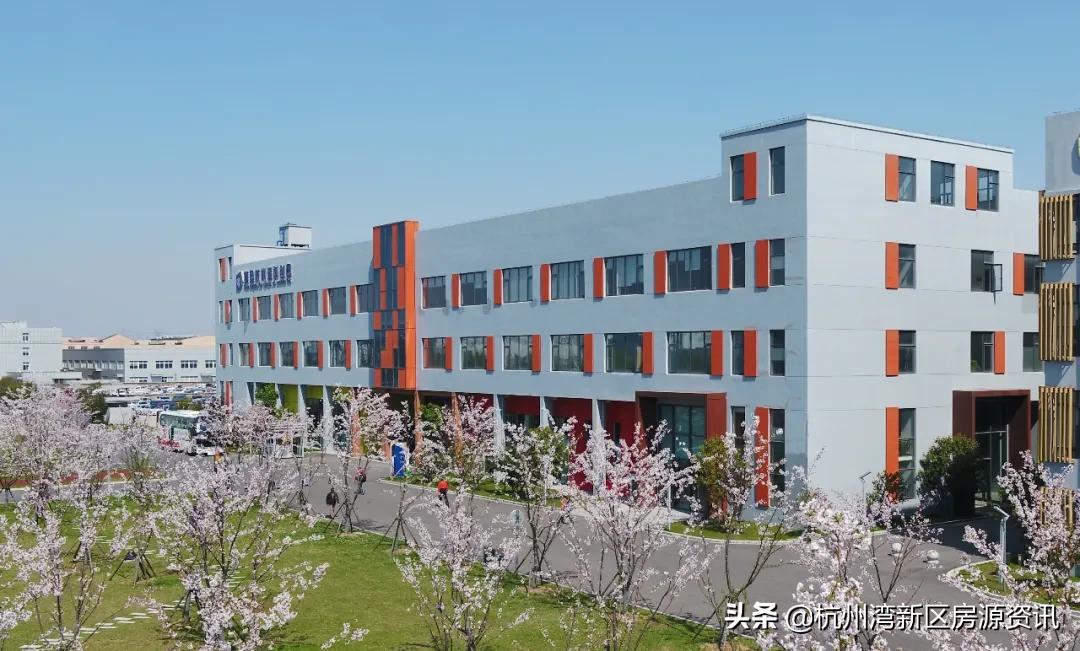 创新创业大赛宁波,宁波杭州湾新区创新创业