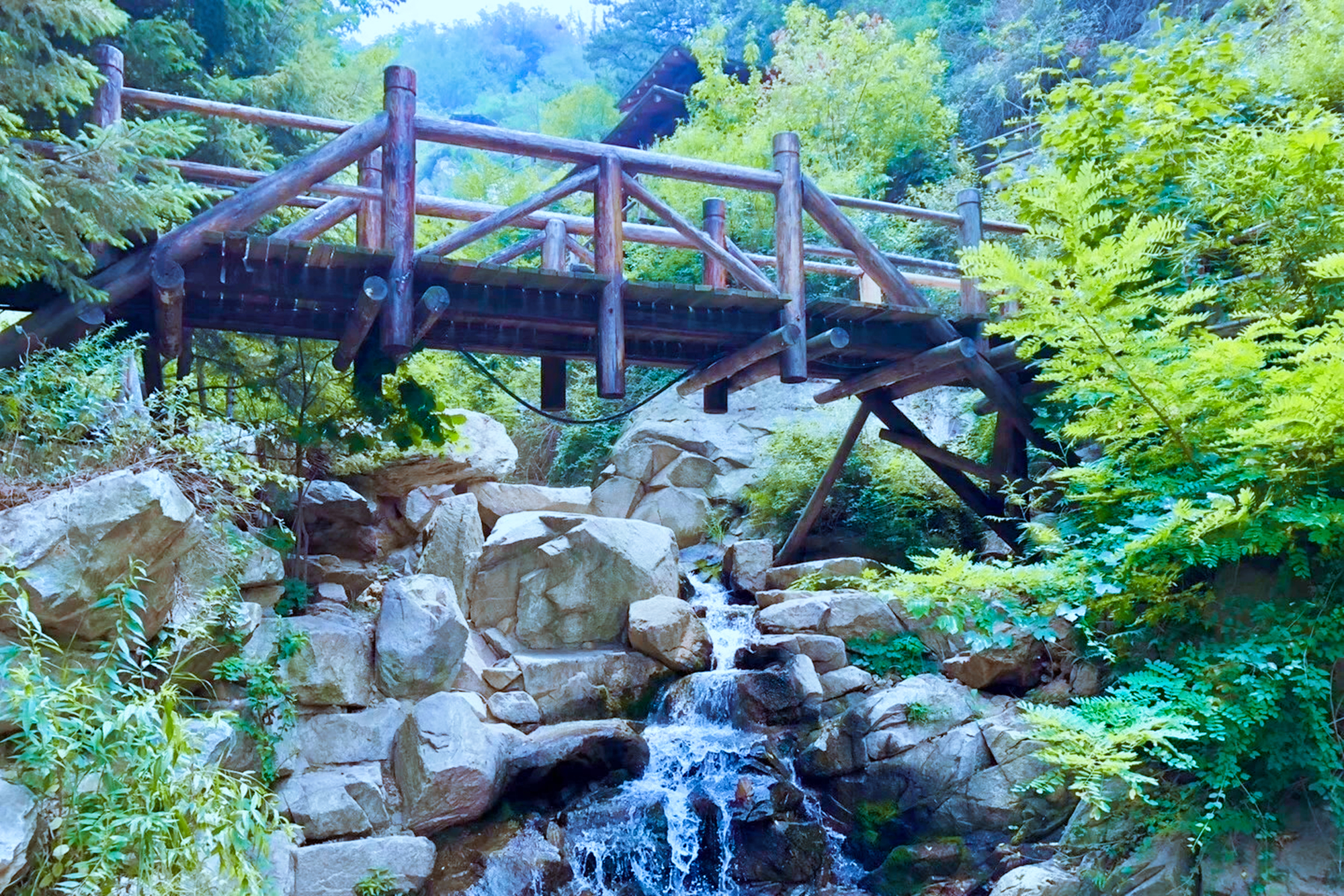 山东一票通游玩的景点,山东一景区一次接待千团十万人次