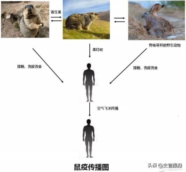 中国第一个诺贝尔奖提名的人,第一位诺贝尔奖的华人