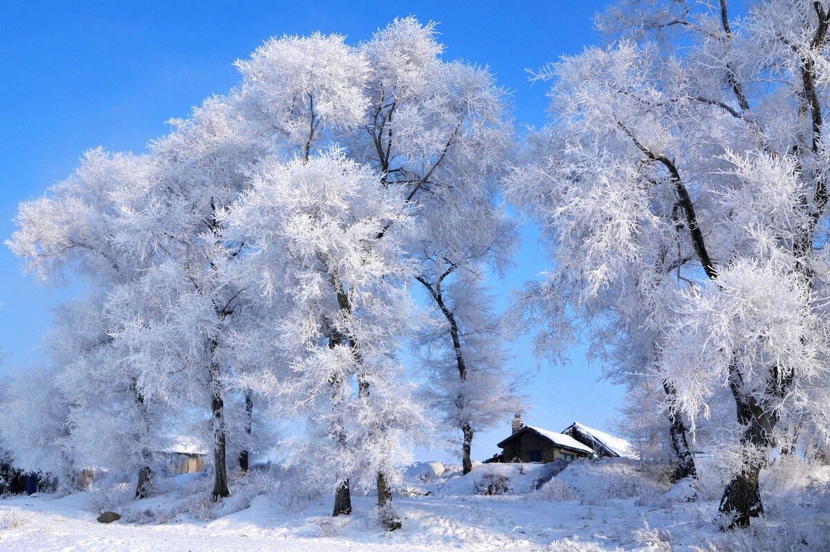 北京下雪了描写雪景最美的短诗,描写北京雪景诗词最美十首