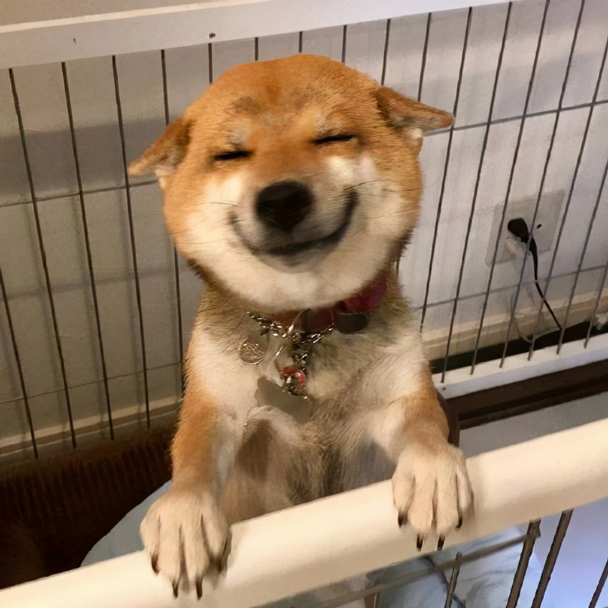 淘宝和天猫哪个好做,新手做淘宝好还是天猫好