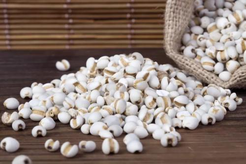 薏米备孕可以吃吗,薏米芡实汤备孕可以喝吗