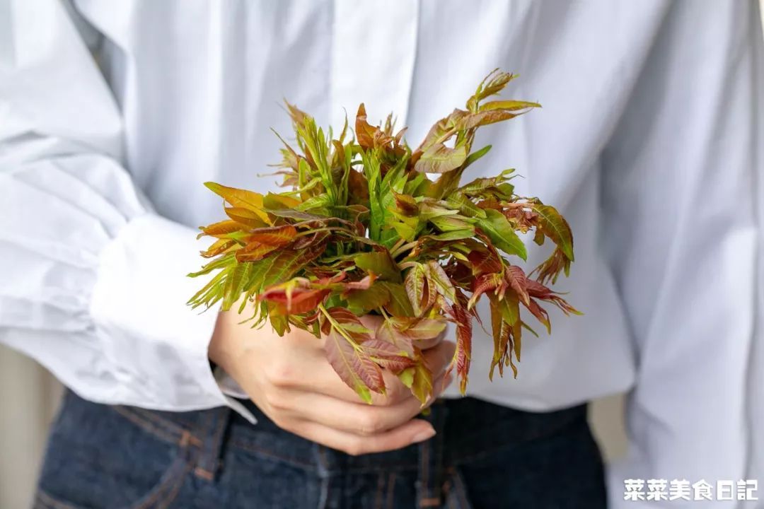 等了一年，终于吃上了！这个春天无憾了