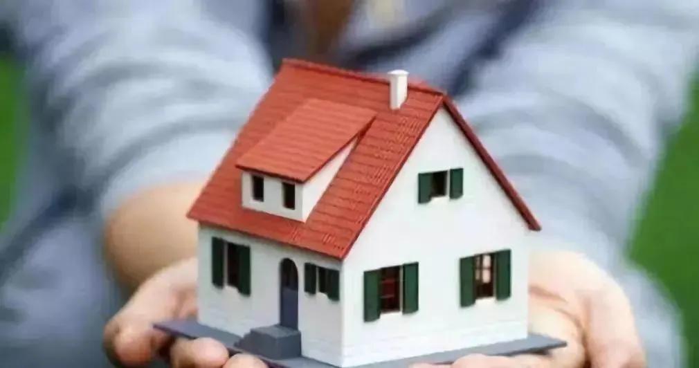 不是吧阿sir！你竟然不知道防水博士的天网一号上市吗？