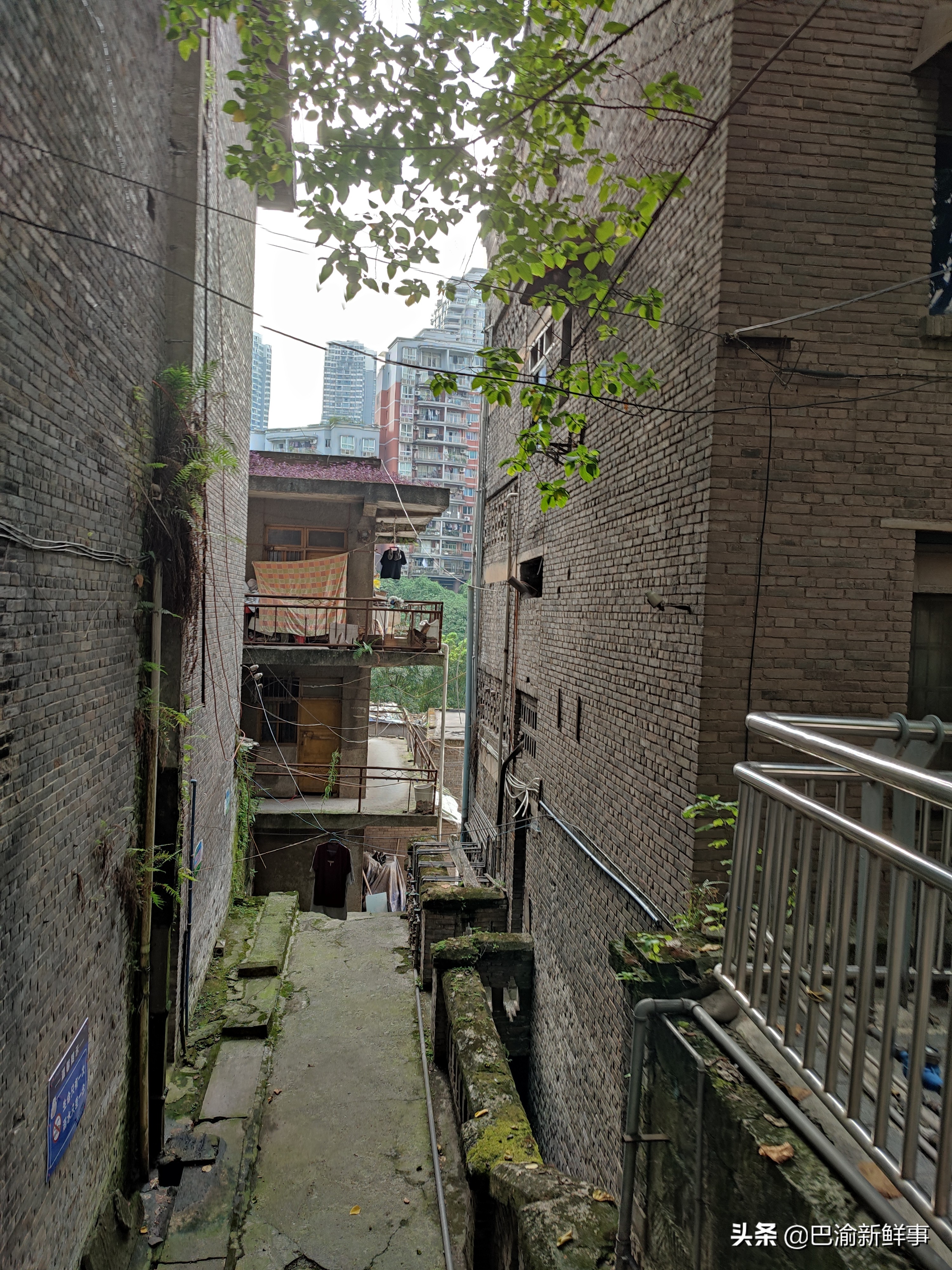 重庆巴南鱼洞这条街有点怪,一边是高楼大厦,一边是旧房