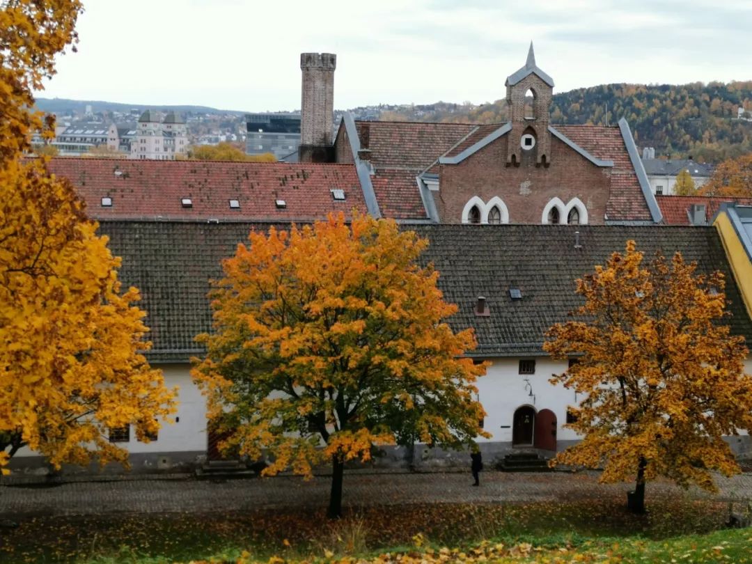 北纬66°34′流浪记——去世界尽头旅行是种什么体验？