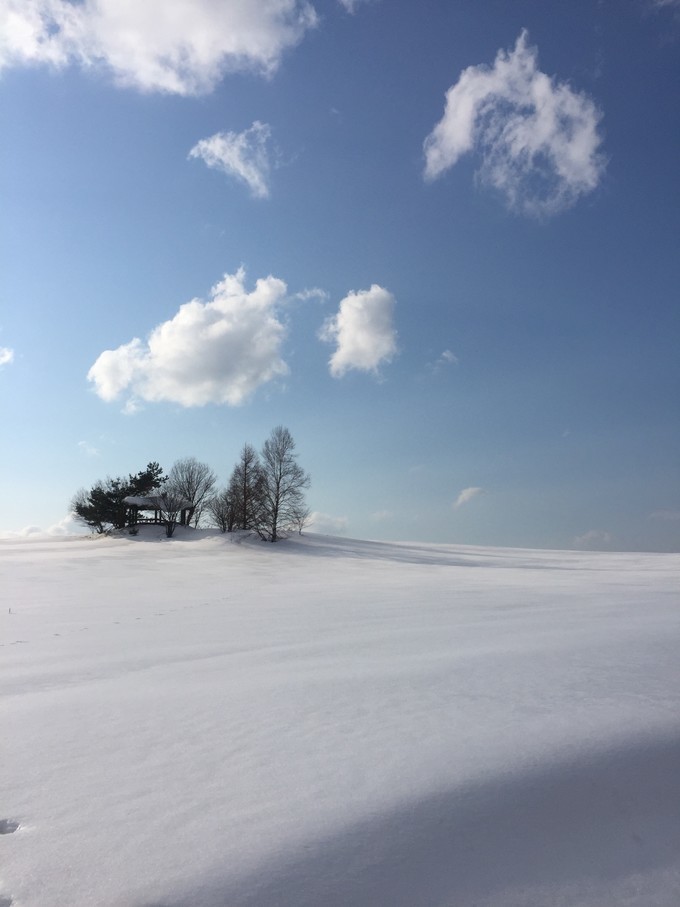 0语言，onepeople，日本北海道冬季往返8日自由行干货