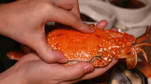 蹇呭悆鐢熻殱鑷姪鎺ㄨ崘,骞夸笢鐢熻殱鍒鸿韩鑷姪