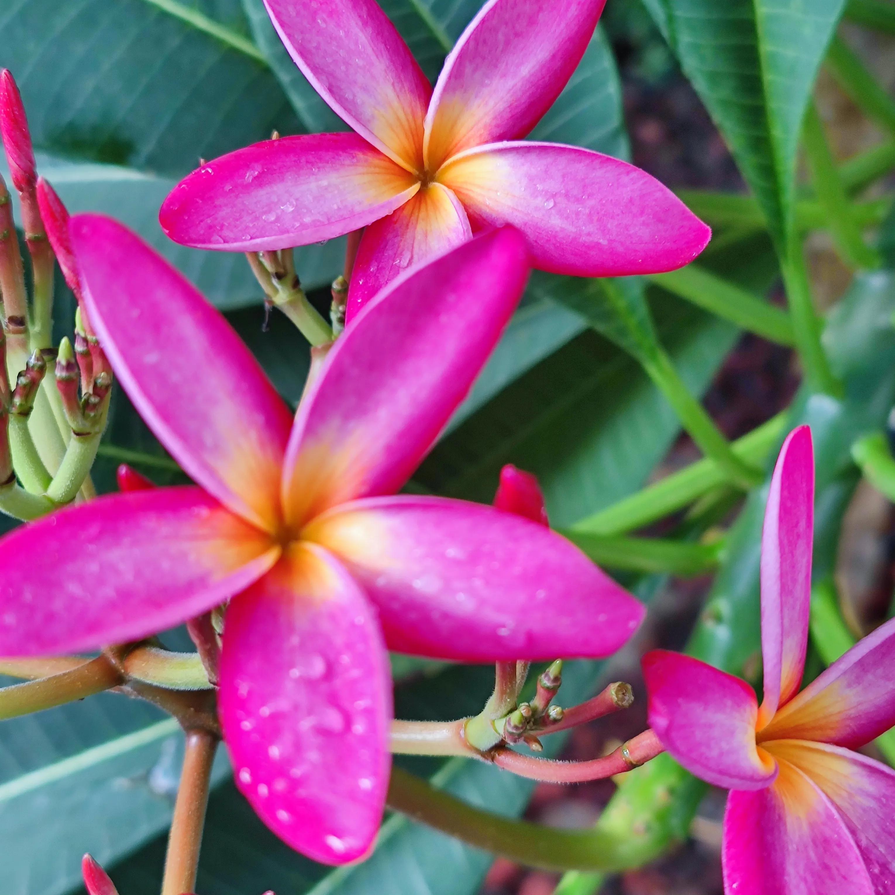 如果人生有假如,人生一定要选择适合自己的生活