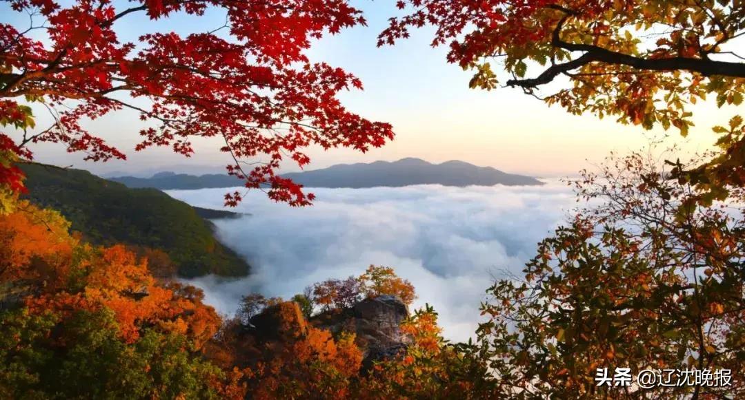 本溪赏枫时间表,本溪哪个景区枫叶红