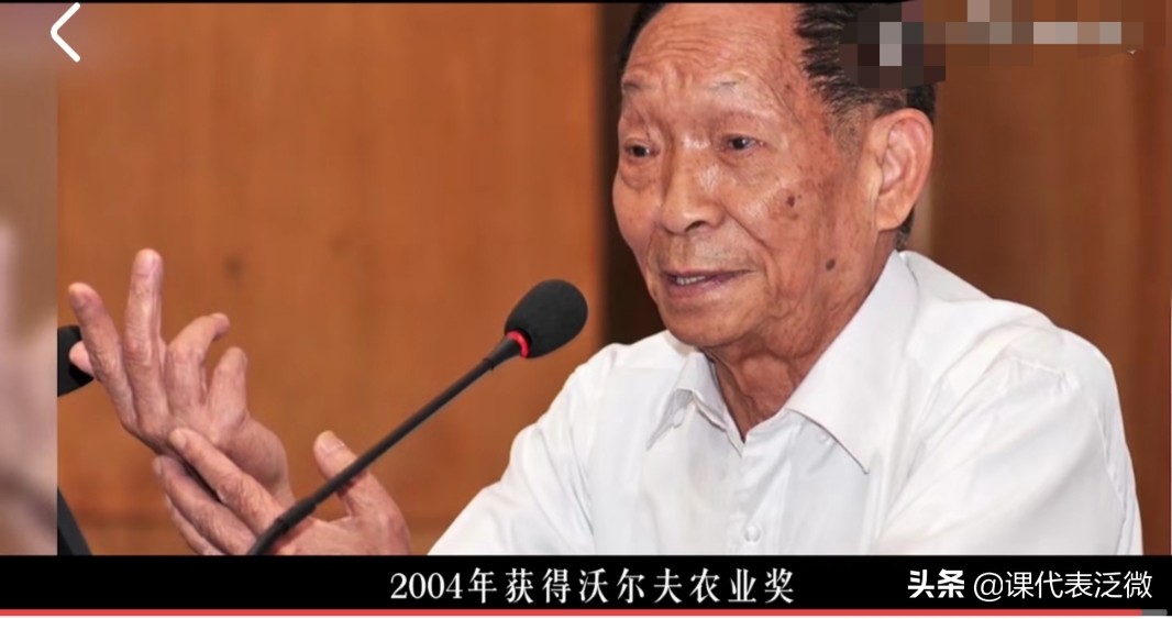 你不知道的袁隆平:浪里白条、预备飞行员、油炸鬼、臭水沟捞宝贝