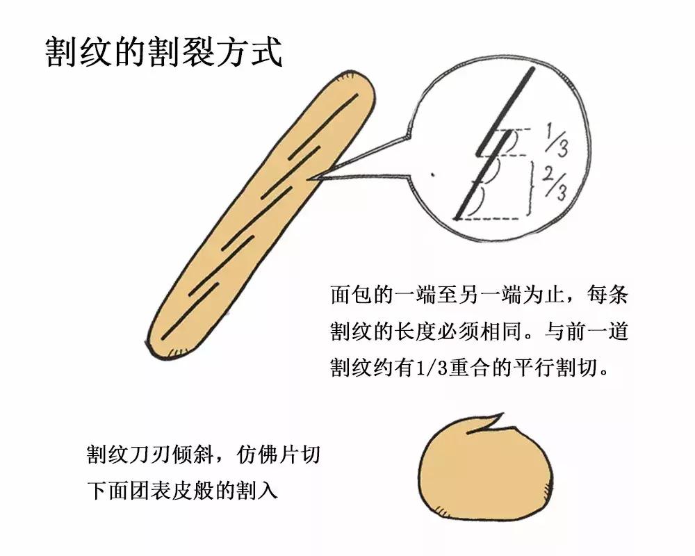 面包分类有哪些？拒绝做小白，5分钟带你了解面包8大种类
