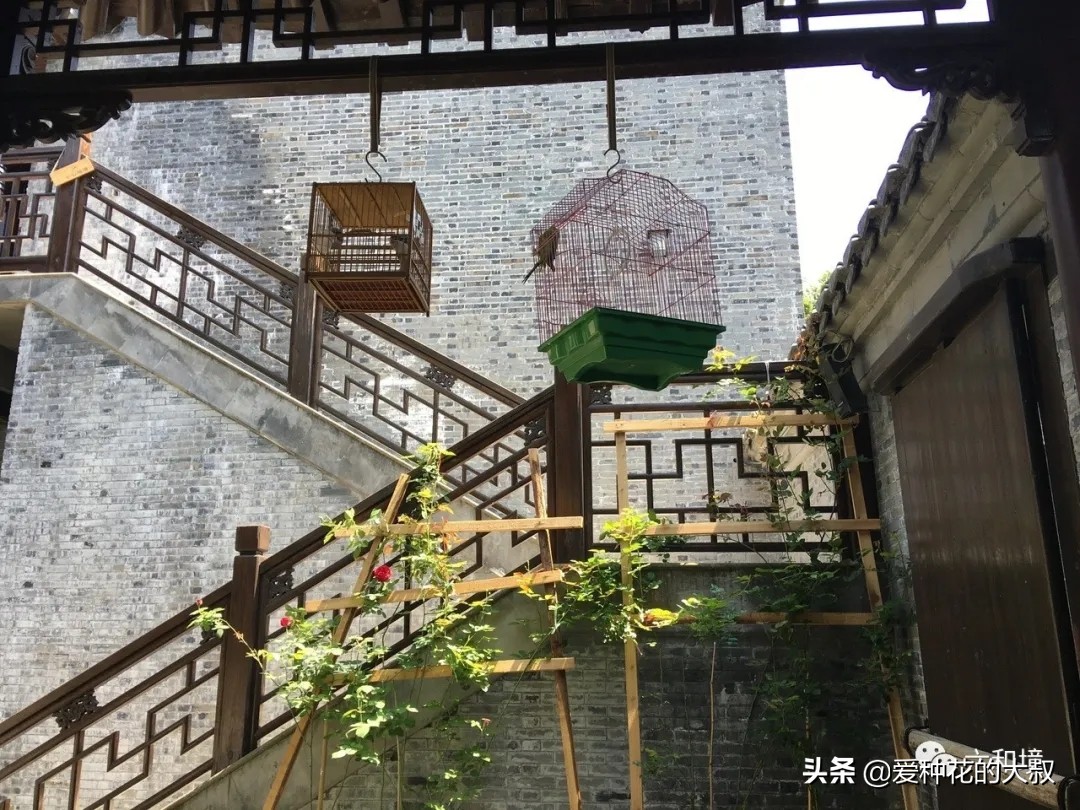 泰州六和境禅意庭院民宿,一院花香