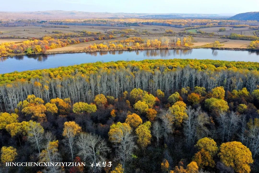 深秋的大兴安岭色彩斑斓,大兴安岭的秋天美景