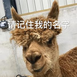 宝宝起名好听有寓意的男孩小名字,婴儿起名男孩名字大全免费