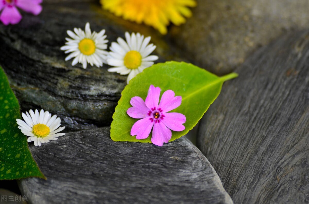 国医大师李振华治“口苦”的方子，改善口苦、体胖、爱生气