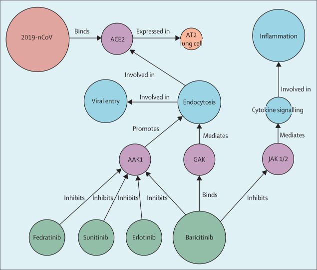 巴瑞替尼对新冠有效果,巴瑞可替尼新冠特效药