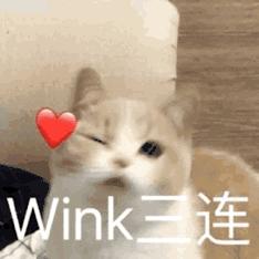 王一博和大张伟戴发带的照片,王一博耍帅大张伟