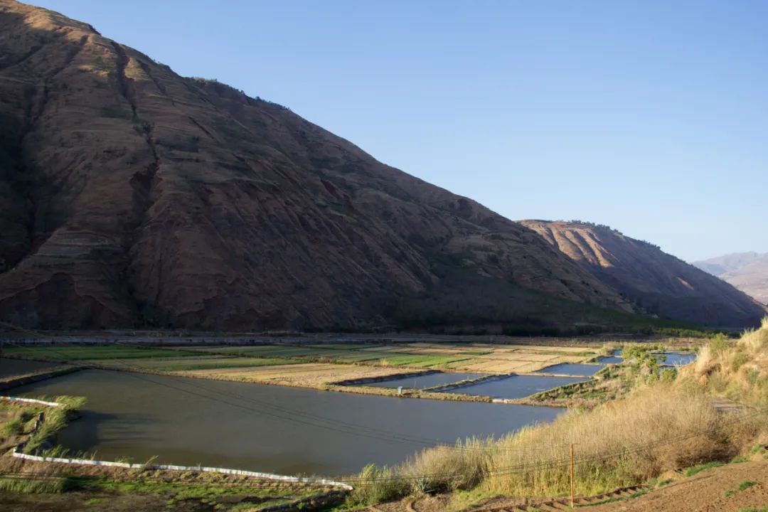 东川红土地在哪里观赏最好,昆明东川红土地攻略