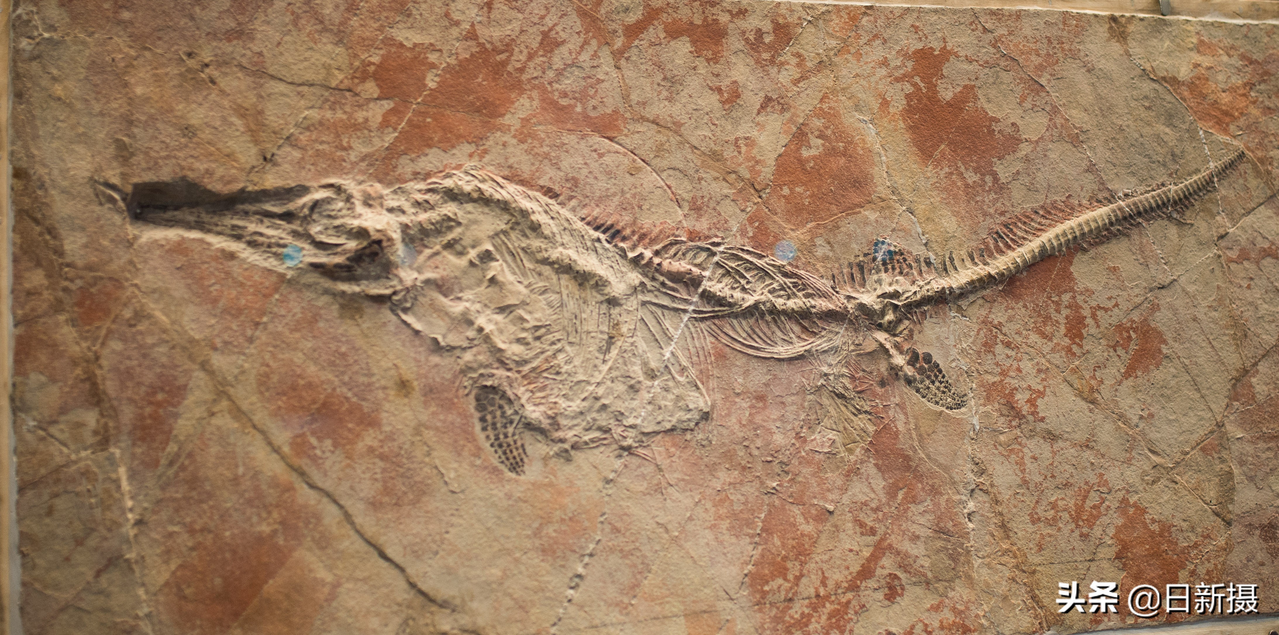 国家海洋博物馆之行,国家海洋博物馆蓝色海洋体验馆