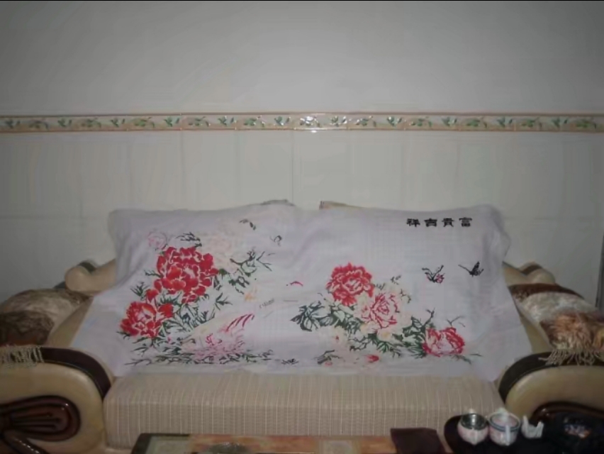 阿朋花了180元买十字绣，用14个月时间绣好了，心里乐滋滋的