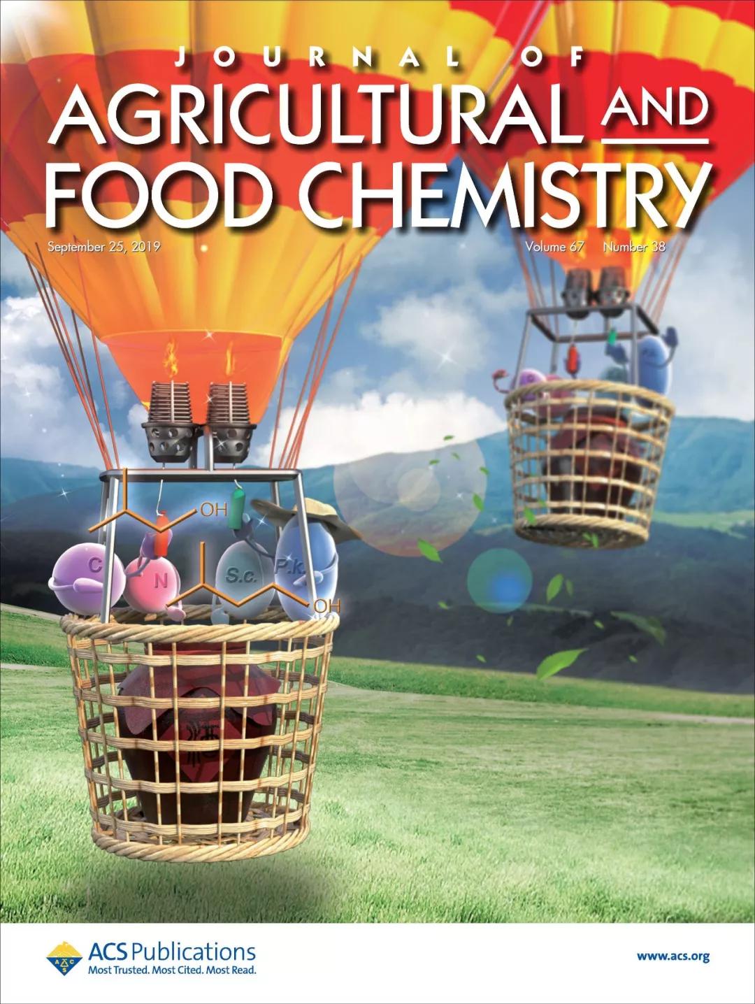 你的论文适合什么风格的封面，你都了解吗？