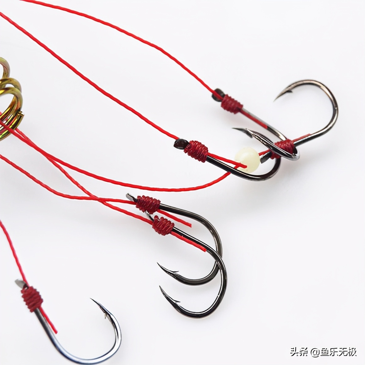 牛粪钓鲤鱼最佳饵料,牛粪喂草鱼最简单方法