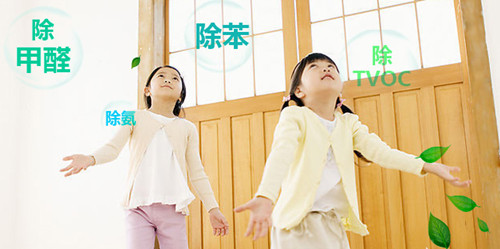 甲醛的危害有哪些如何清除甲醛,房子有甲醛怎么除甲醛最快
