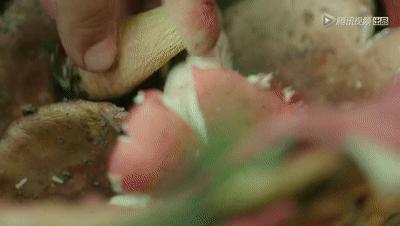 全国火锅排名怎么样,全国十大火锅示意图