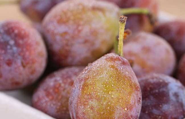 新鲜西梅怎么吃通便最快,西梅什么时候吃通便最好