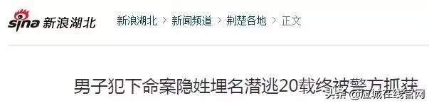 应城新闻今日,2019应城新闻今日头条