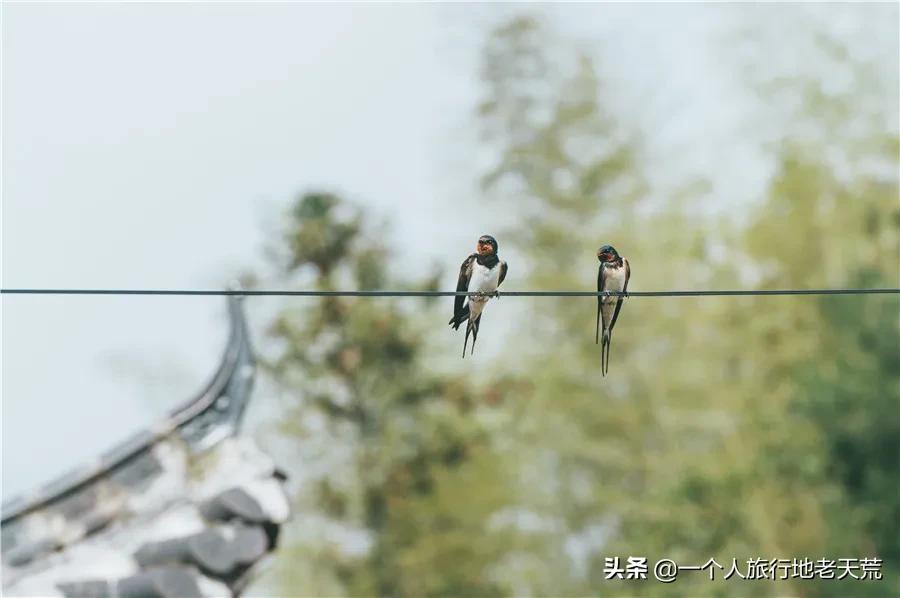 我国唯一能用欧元的城市,我国唯一可以使用欧元的小镇