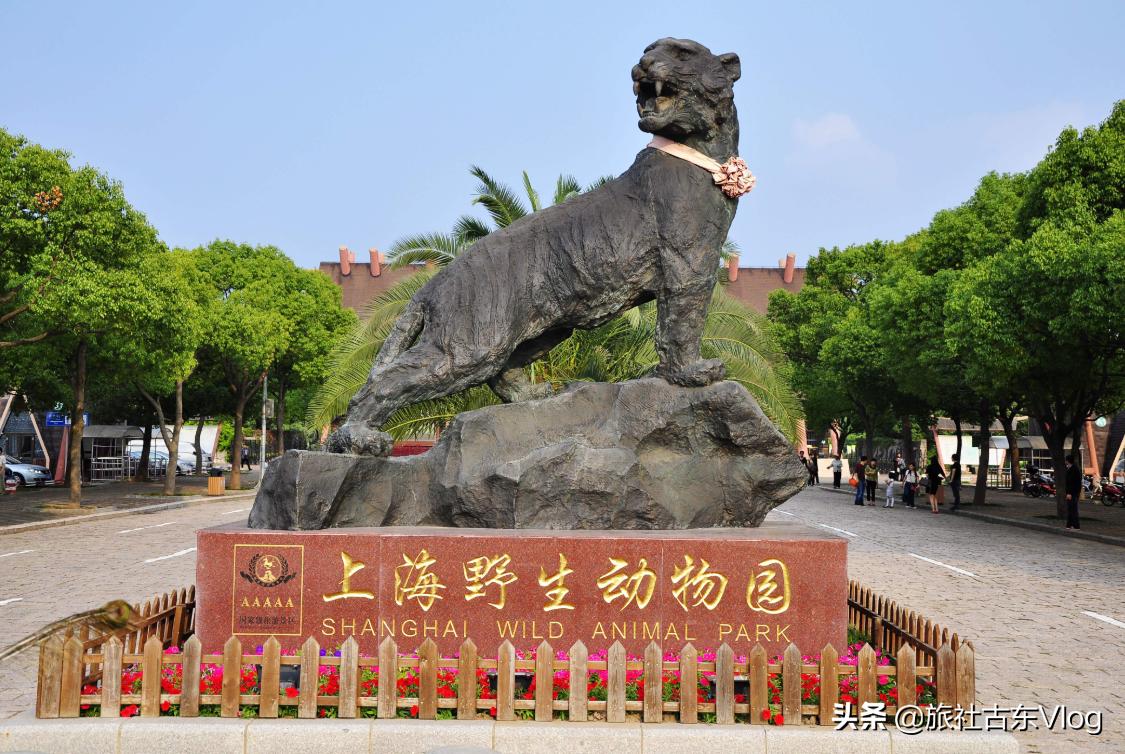 上海野生动物园冬天动物多吗,上海野生动物园中的动物