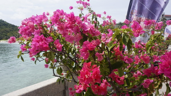 一场一个人说走就走的旅行,来一场旅行开启所有的美好