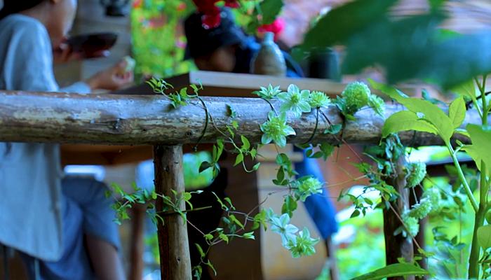 李子柒上山挖野菜视频,李子柒制作全过程视频美食